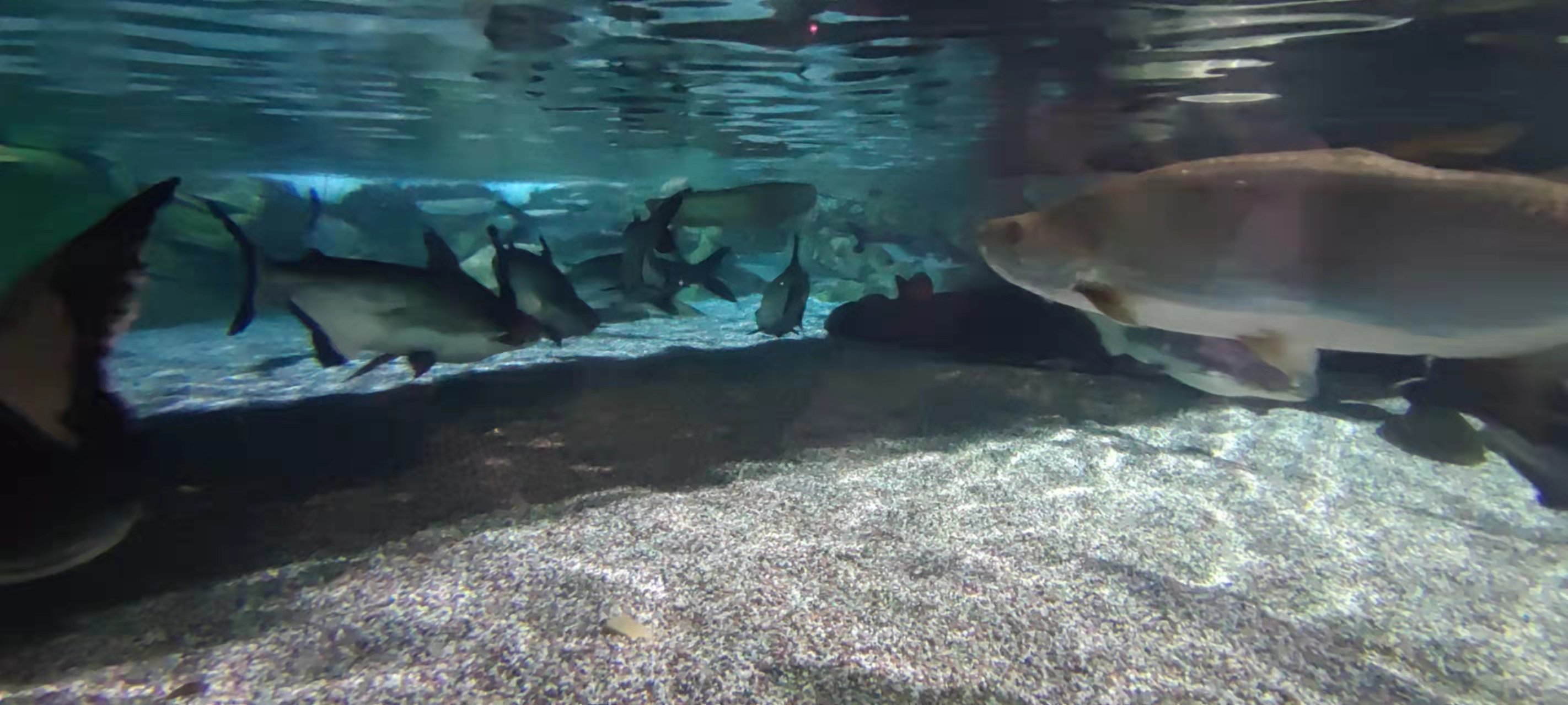 2021·10 北京·海洋馆