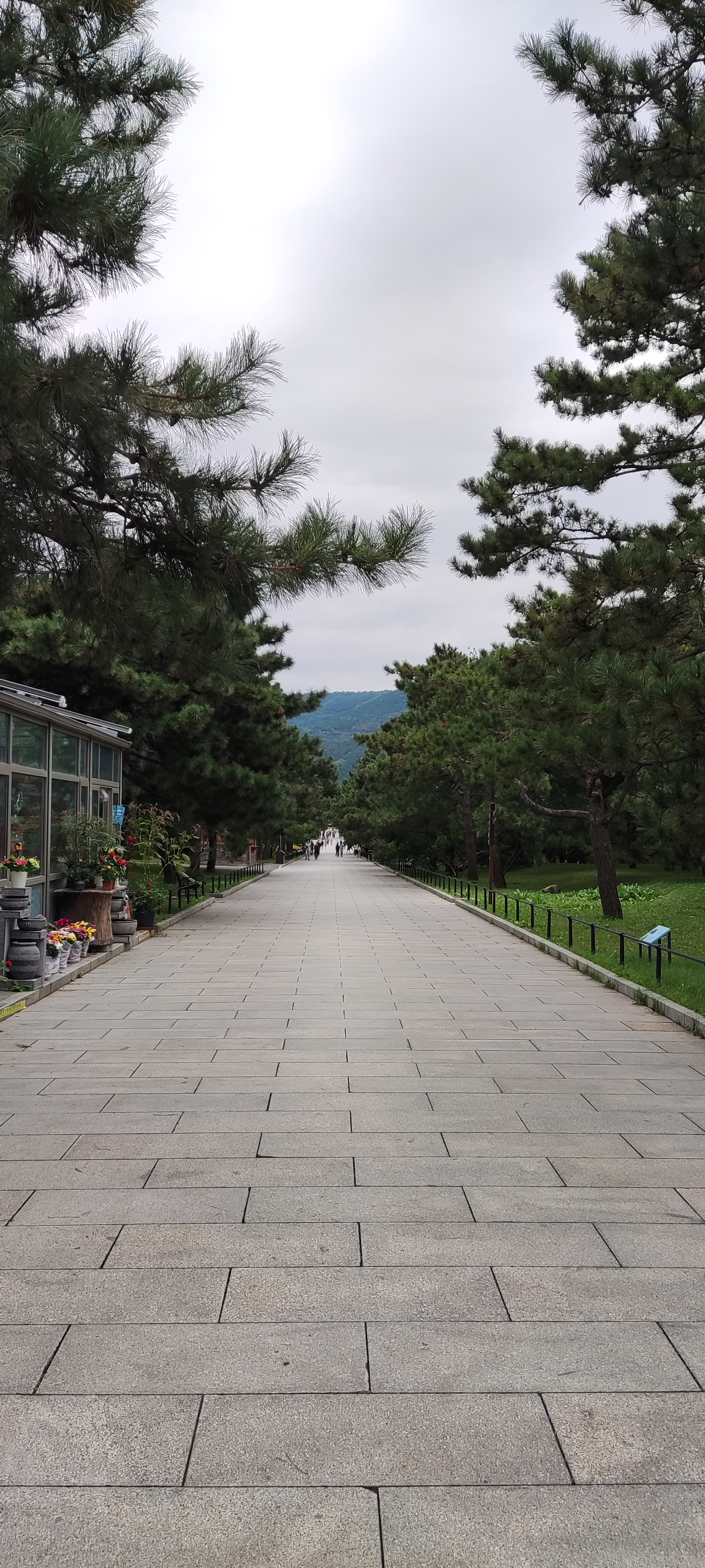 2021.9 北京·植物园