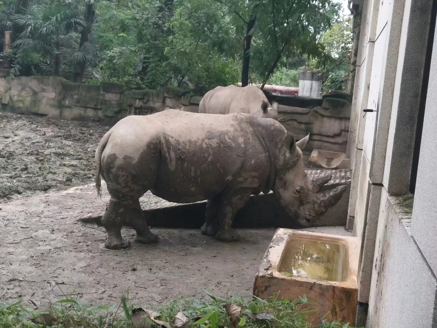 2017.10 成都·动物园