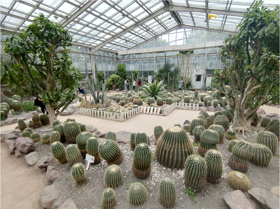 2021.3 成都·植物园