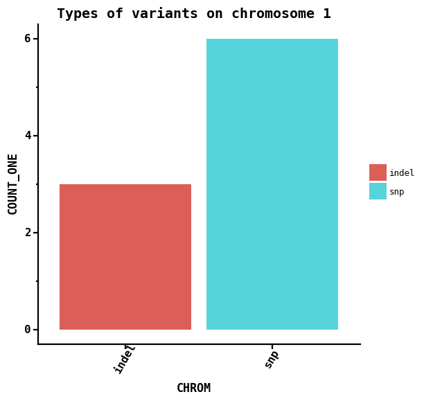 Types of variants on chromosome 1