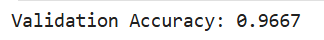 Validation Accuracy