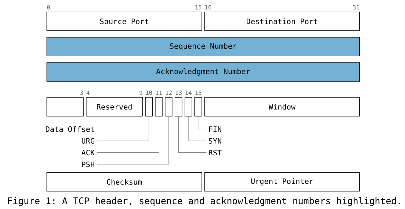 packet: a TCP header, narrow flags as leader callouts