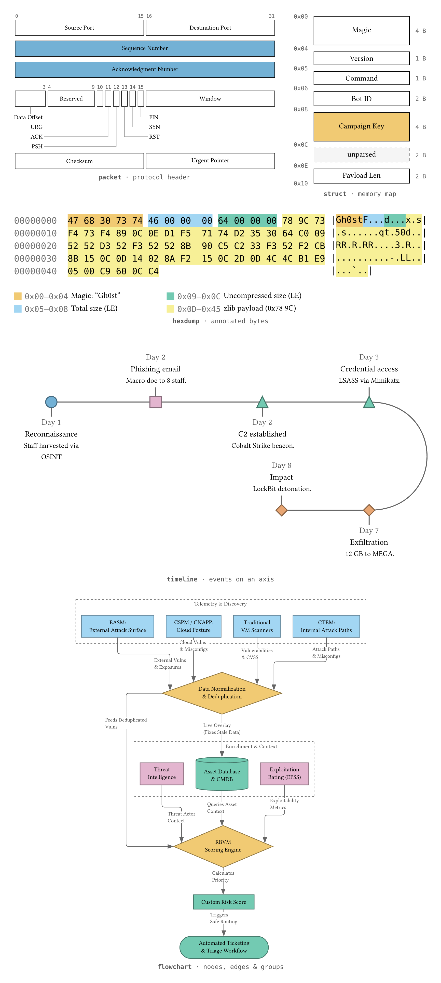 The five diagram families: a TCP header packet diagram, a malware C2 config as a memory map, a Gh0st RAT check-in annotated in a hexdump, a ransomware intrusion on a snaked timeline, and a risk-based vulnerability-management flowchart with grouped discovery and enrichment stages.