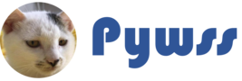 pywss screenshot