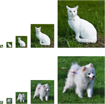 Images of varying resolutions (10 \times 10, 20 \times 20, 40 \times 40, 80 \times 80, and 160 \times 160 pixels).