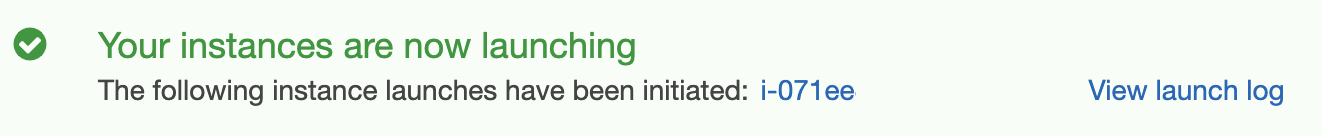 Click the instance ID.