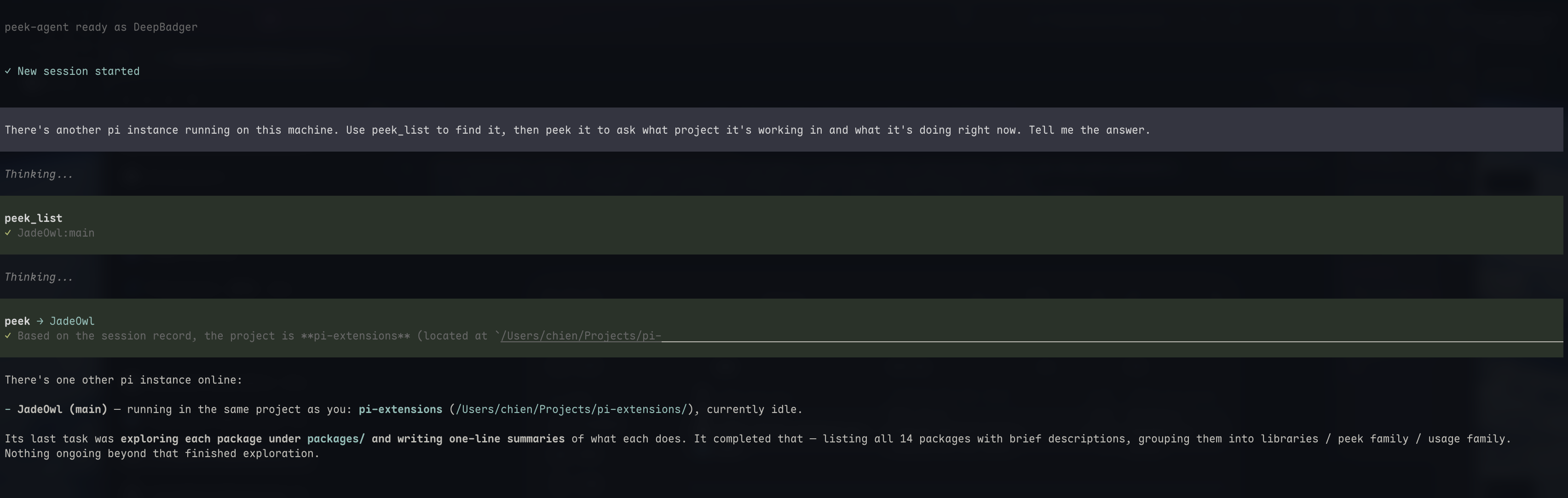 @d3ara1n/pi-peek-agent screenshot 1