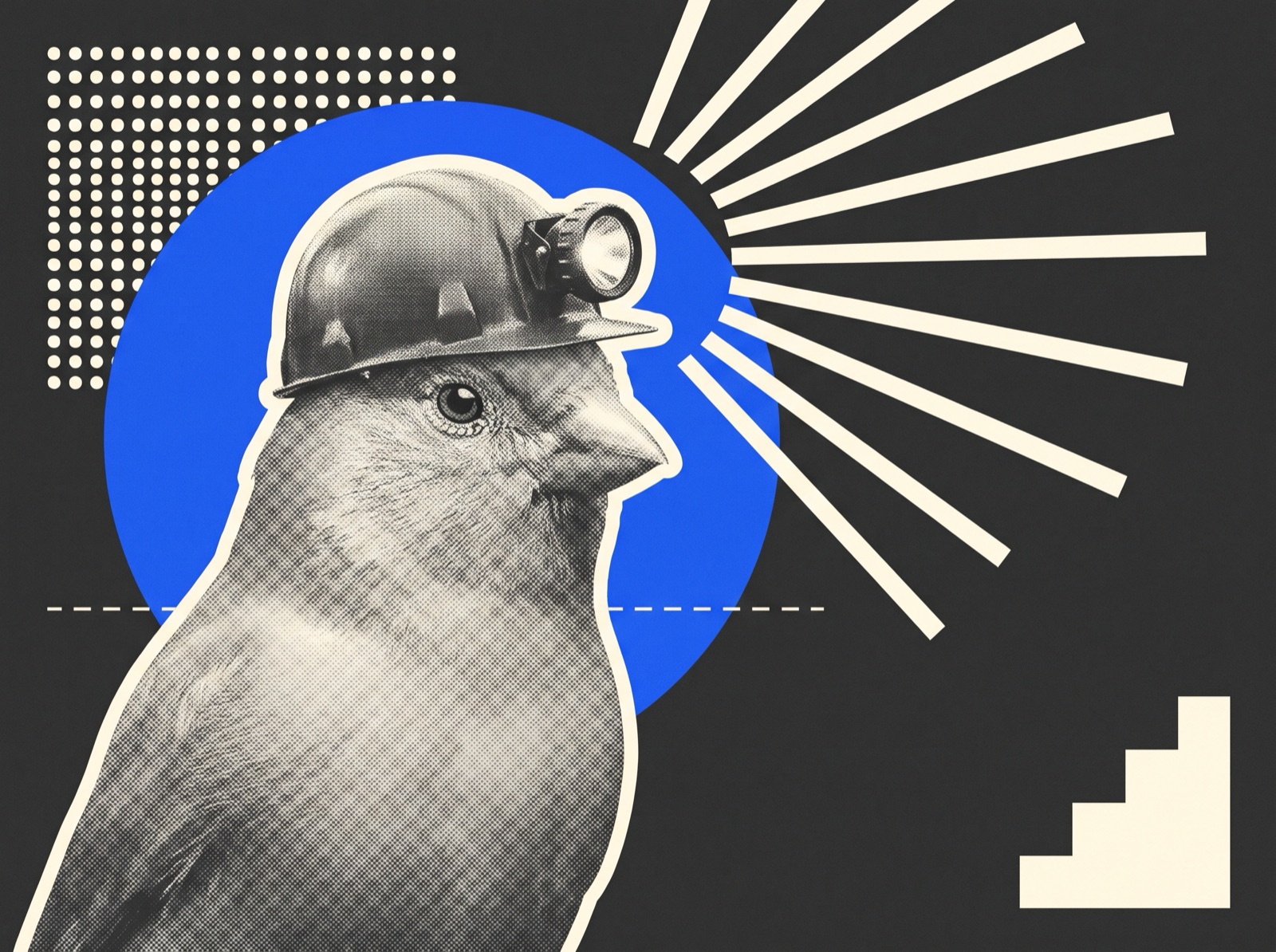 Canary by D3 Creative