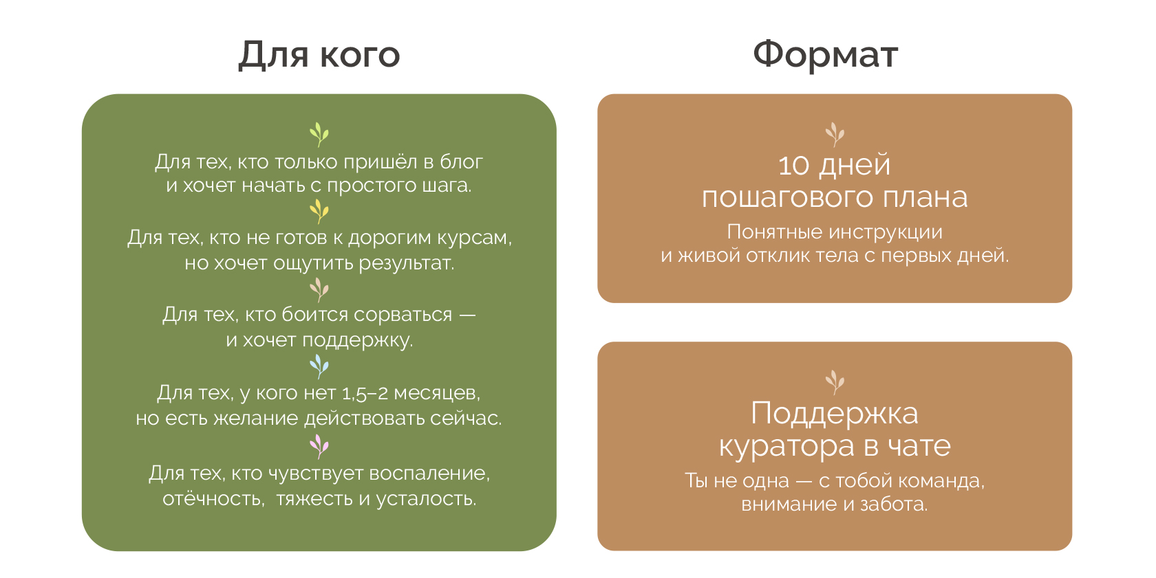 Для кого и формат программы