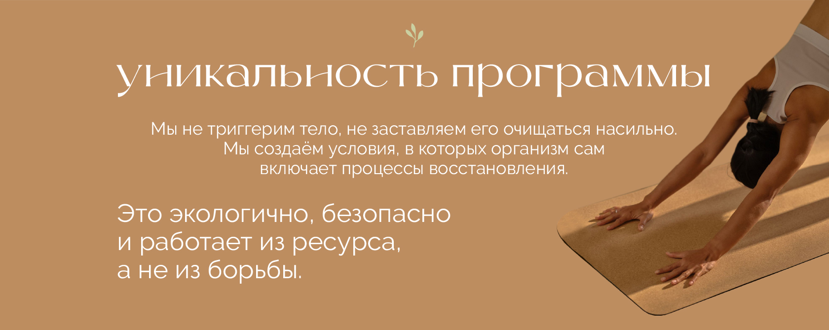 Уникальность программы