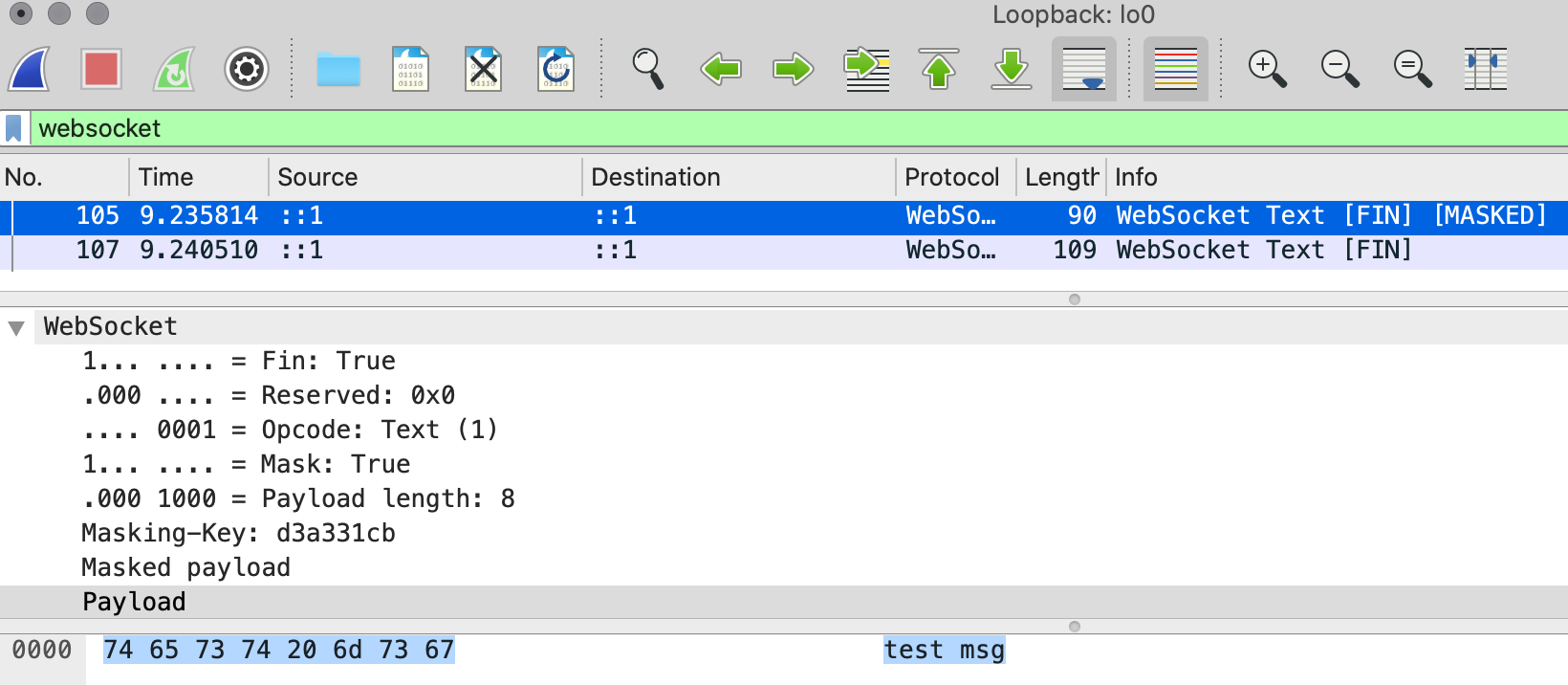 wireshark1