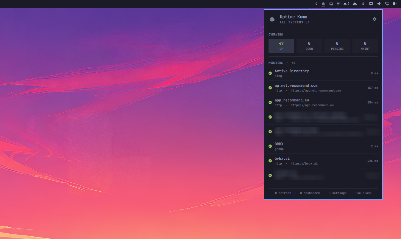 The Uptime Kuma panel listing active monitors