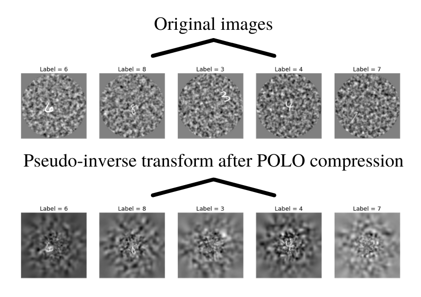 polo_transformed_dataset