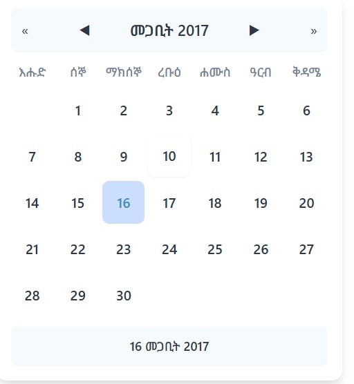 Amharic Version Preview