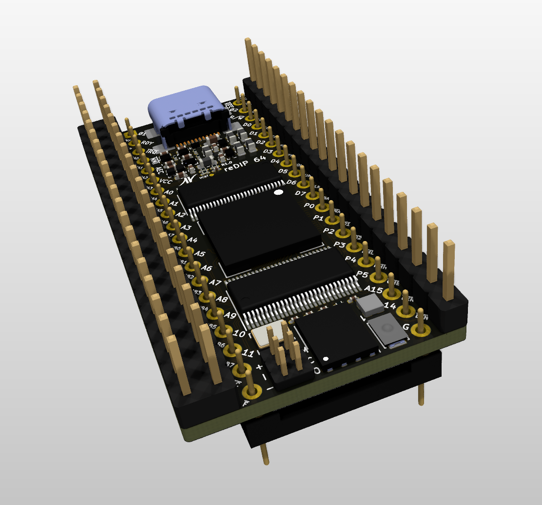 ReDIP-64, from the project README