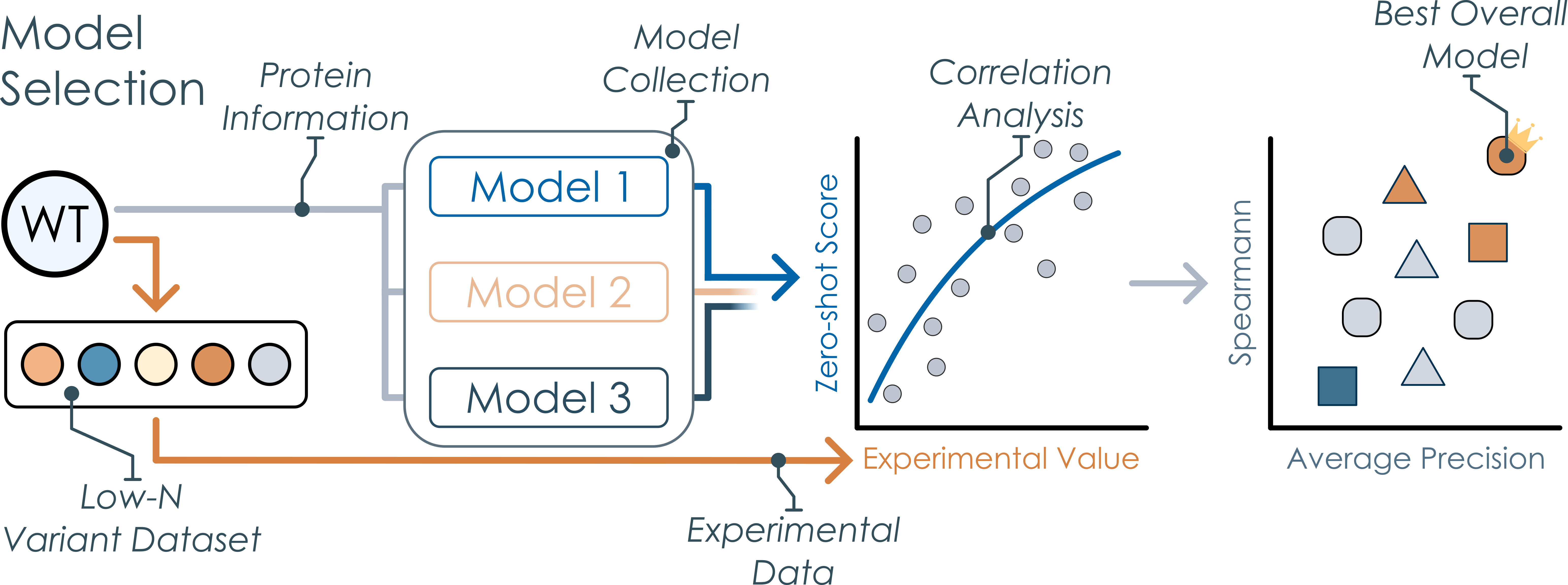 Model Selection