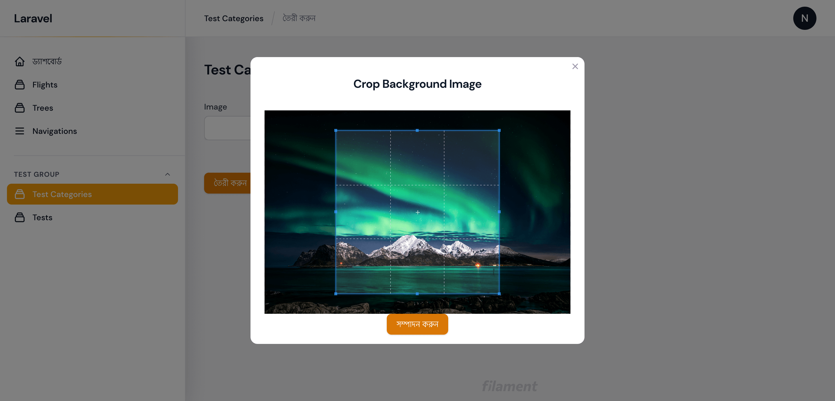 screenshot of big modal