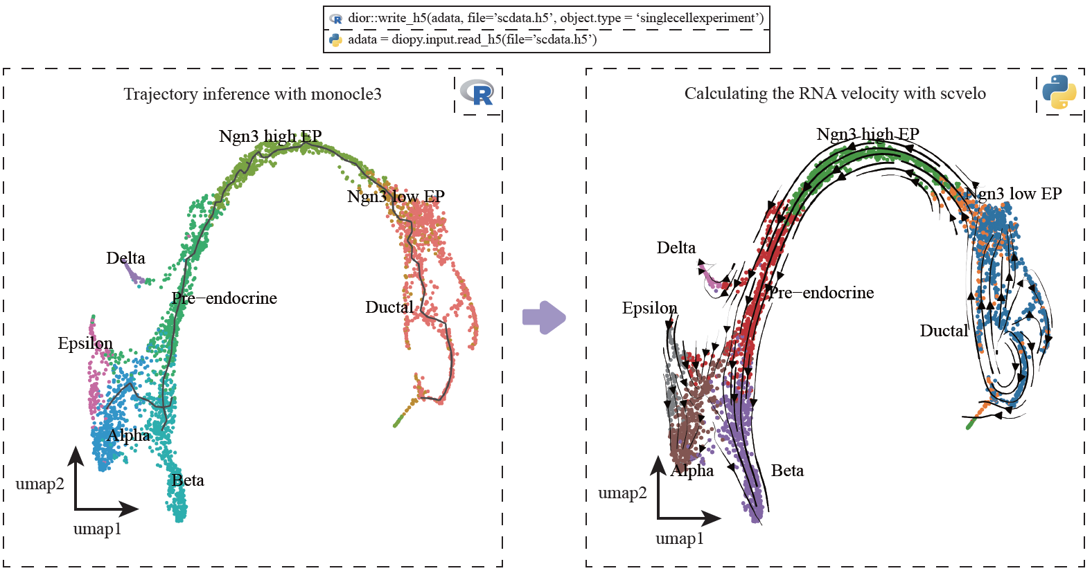 1.trajectory_inference