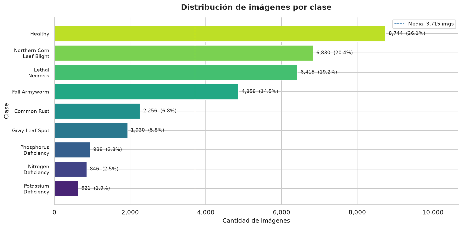 Distribución de imágenes por clase