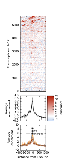 Top: Heatmap of ATF3 ChIP-seq signal over transcription start sites (TSS) on chr17 in human K562 cells. Middle: average ChIP enrichment over all TSSs +/- 1kb, with 95% CI band. Bottom: Integration with ATF3 knockdown RNA-seq results, showing differential enrichment over transcripts that went up, down, or were unchanged upon ATF3 knockdown.