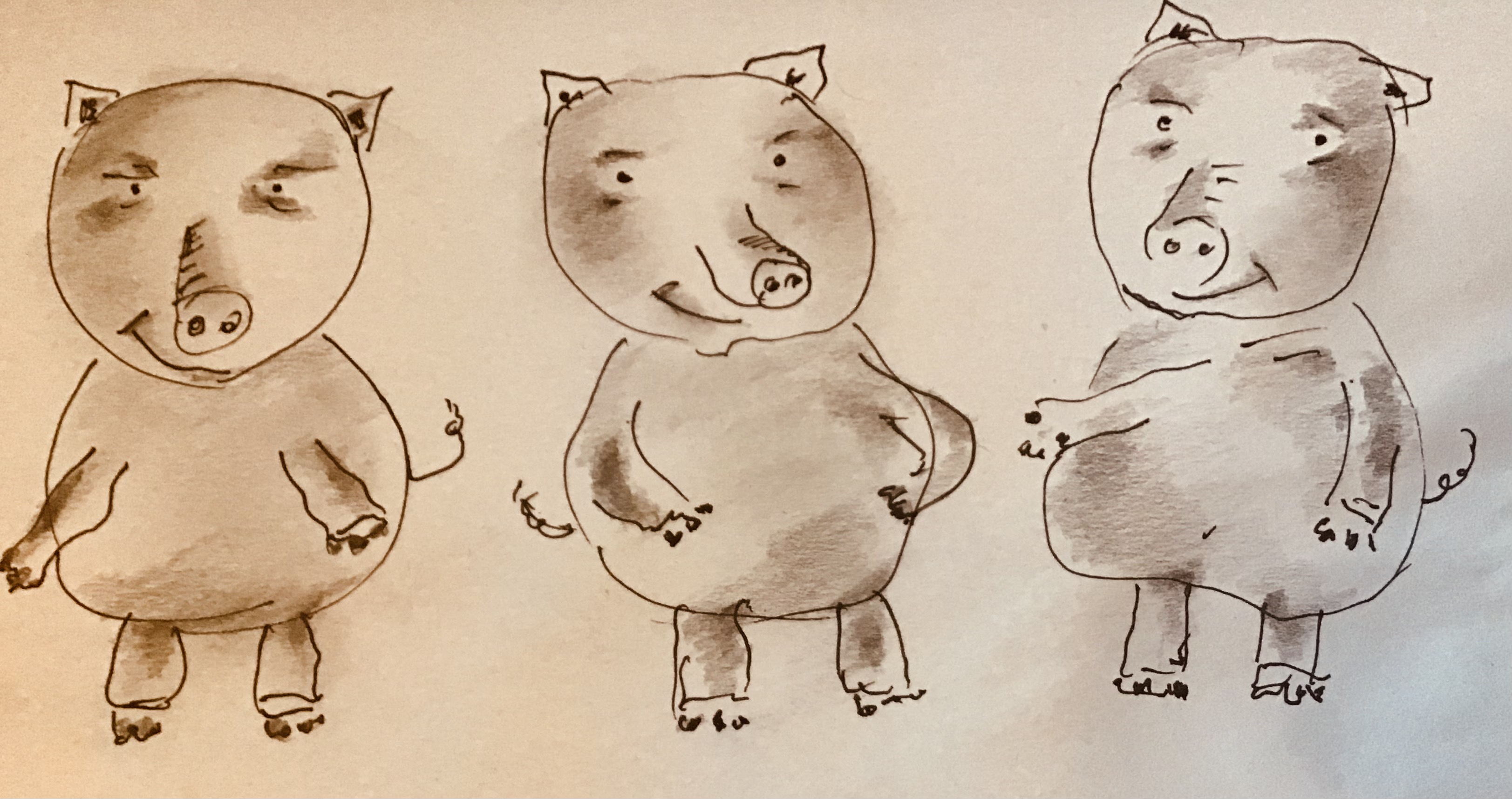 Three little pigs