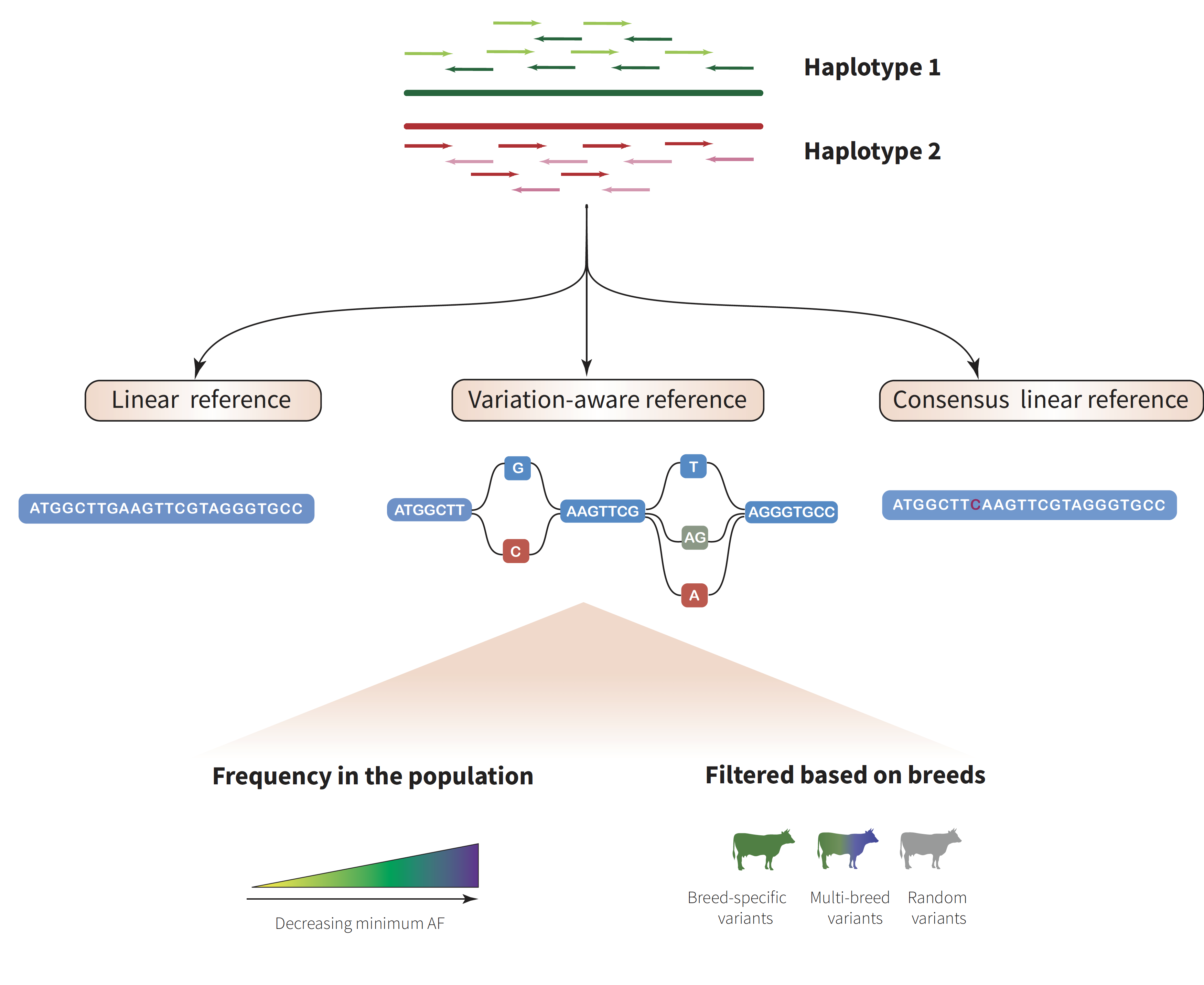 Illustration of method