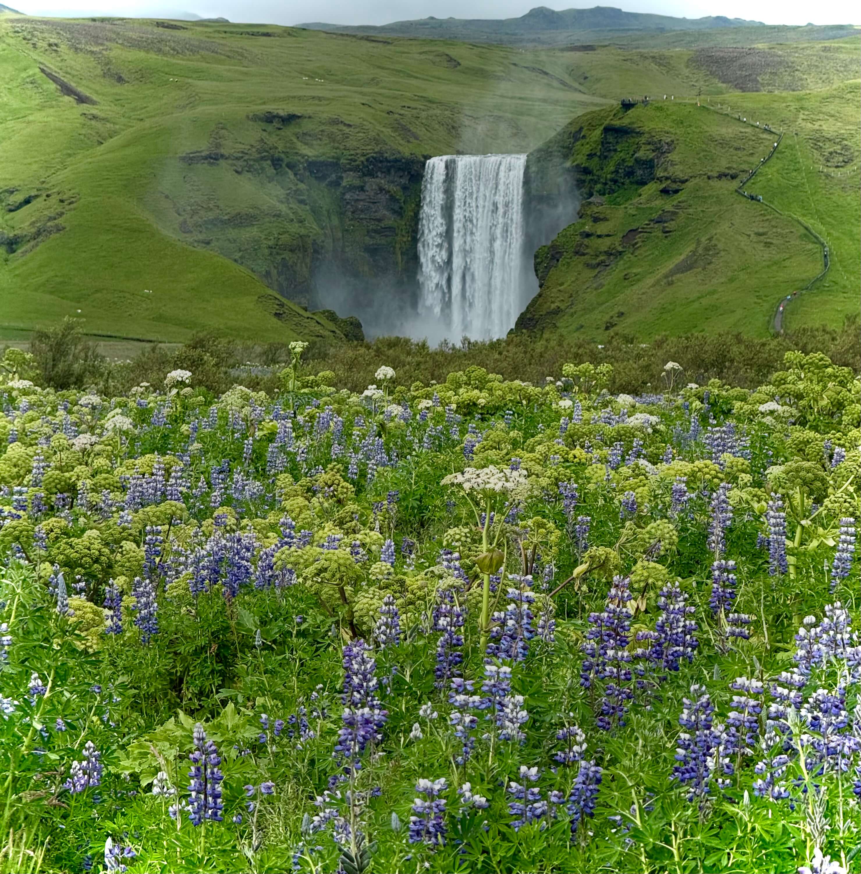 Iceland personalized tour