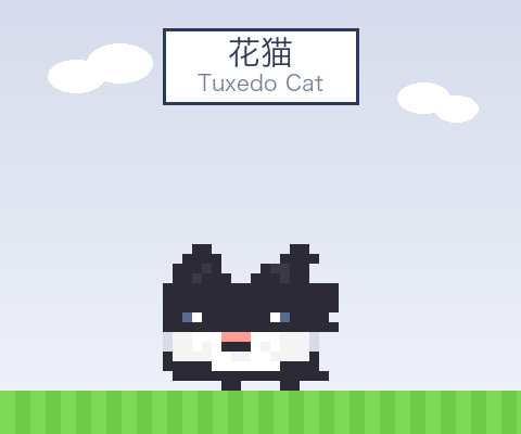 tuxedo