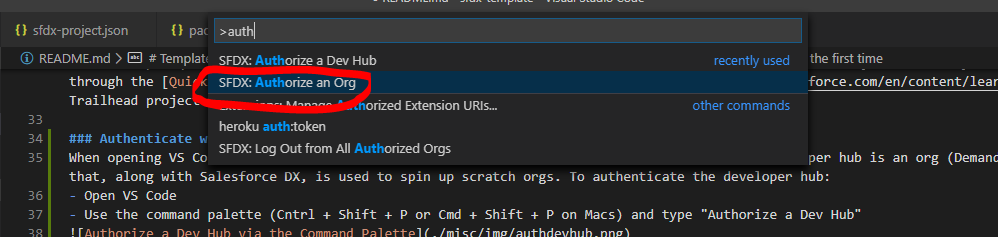 Authorize Org via the Command Palette