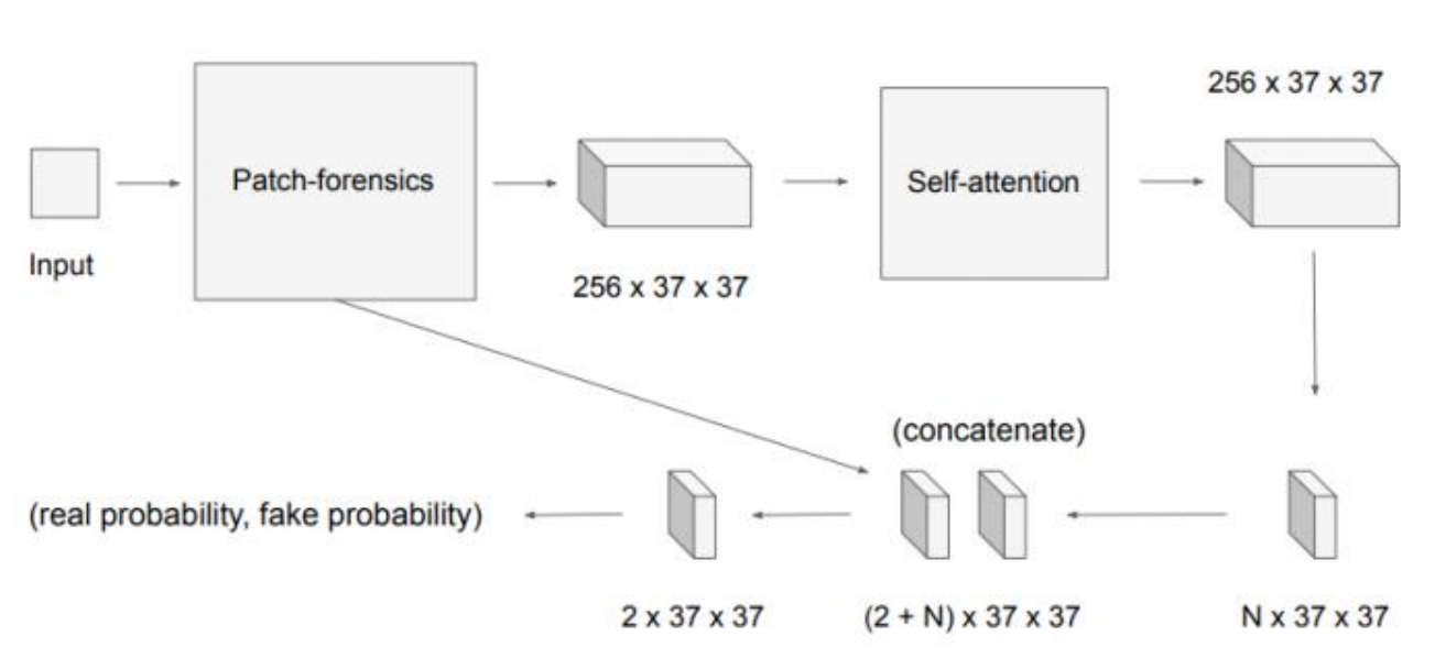 MSA-arch