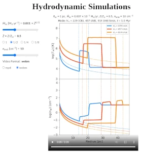 Hydrodynamic Simulations