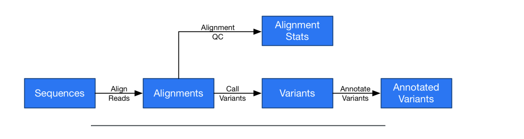 Basic Sequencing Pipeline