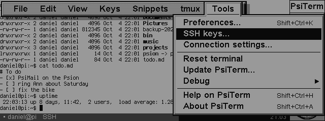 PsiTerm connected over SSH