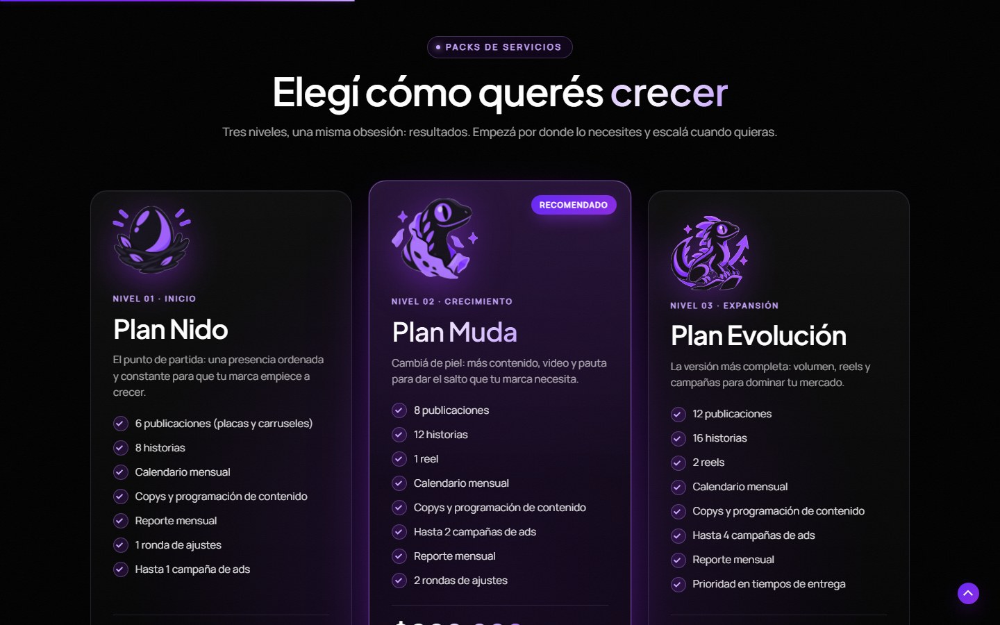 Planes Nido, Muda y Evolución