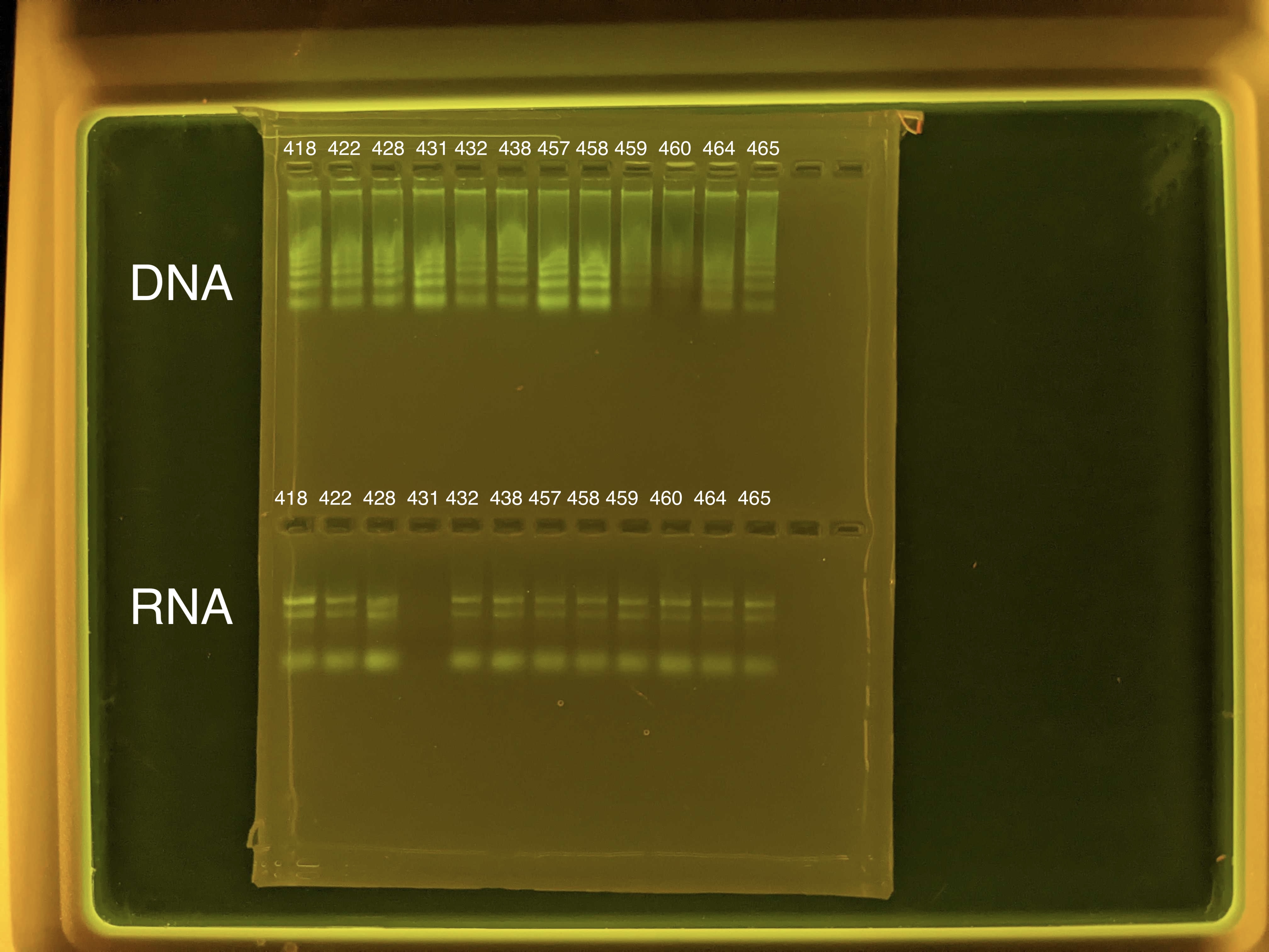 image of gel