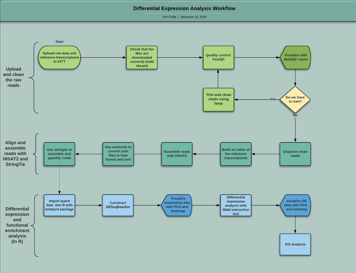 rna-seq-bioinformatic-workflow-danielle-becker-s-putnam-open-lab-notebook-open-lab-notebook