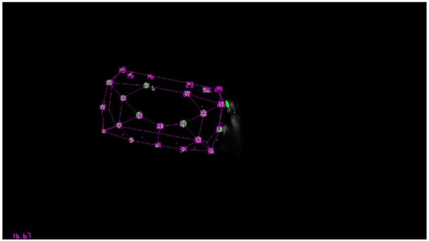 oculus-tracking