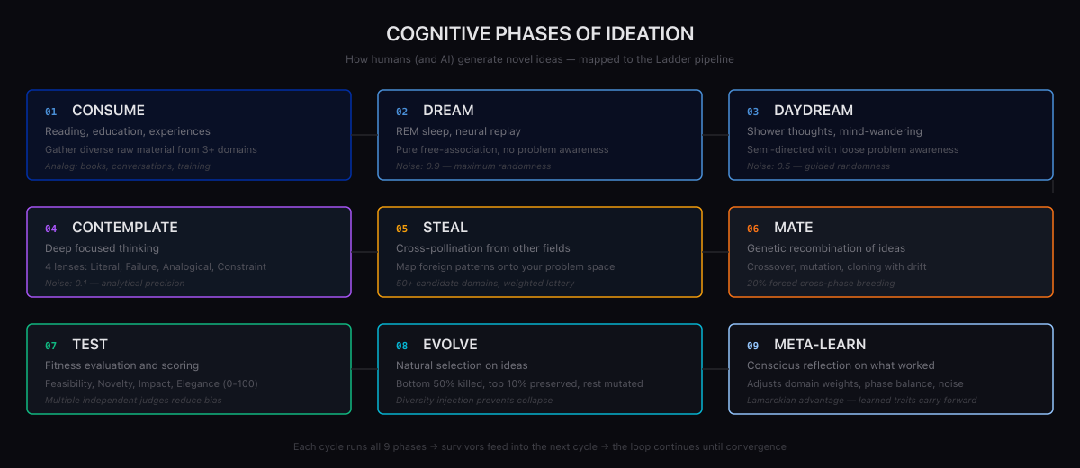 images/cognitive-phases.png