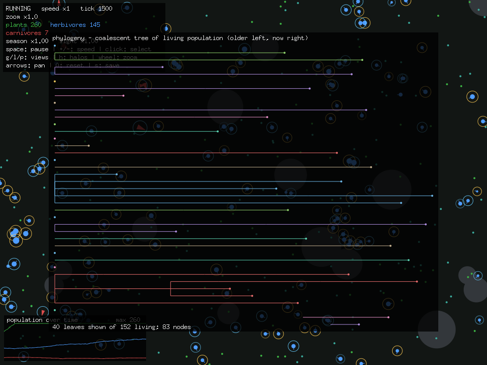 phylogeny