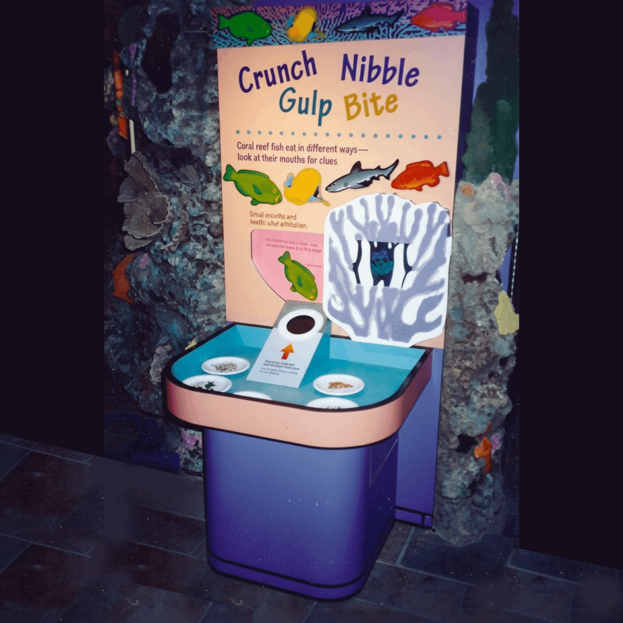 Crunch, Nibble, Gulp, Bite Interactive
