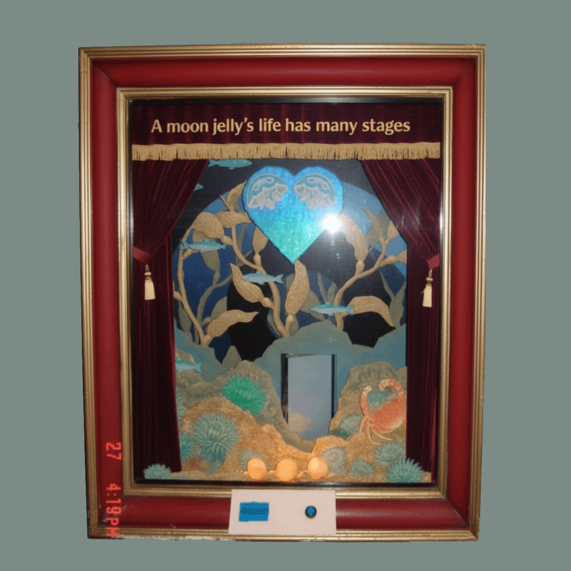 Sea of Love Interactive