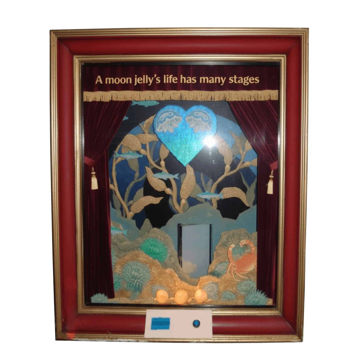 Sea of Love Interactive