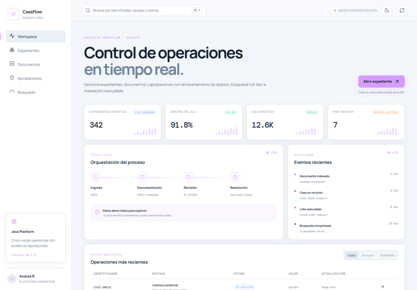 Captura del sistema: CaseFlow — gestión documental empresarial