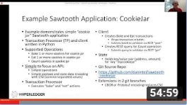 Sawtooth Application development video
