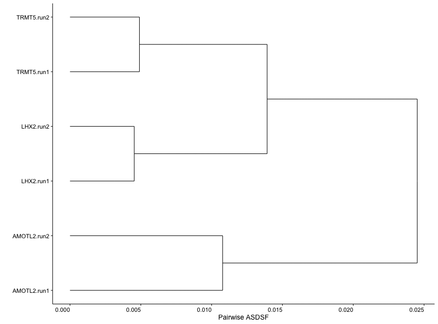 asdsf tree