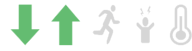 Image of health summary icons