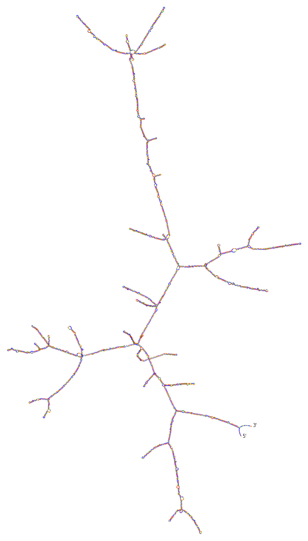 Secondary structure of superfolder designed for the Omicron variant in a PSU context