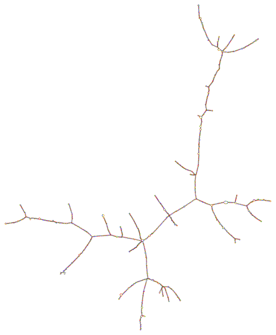 Secondary structure of superfolder designed for the Omicron variant